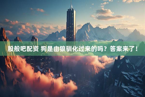 股般吧配资 狗是由狼驯化过来的吗？答案来了！