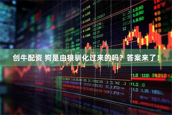创牛配资 狗是由狼驯化过来的吗？答案来了！