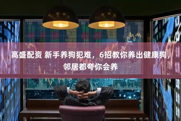 高盛配资 新手养狗犯难，6招教你养出健康狗，邻居都夸你会养
