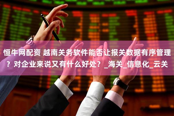 恒牛网配资 越南关务软件能否让报关数据有序管理？对企业来说又有什么好处？_海关_信息化_云关