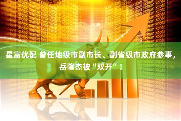 星富优配 曾任地级市副市长、副省级市政府参事，岳隆杰被“双开”！