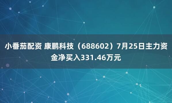 小番茄配资 康鹏科技（688602）7月25日主力资金净买入331.46万元