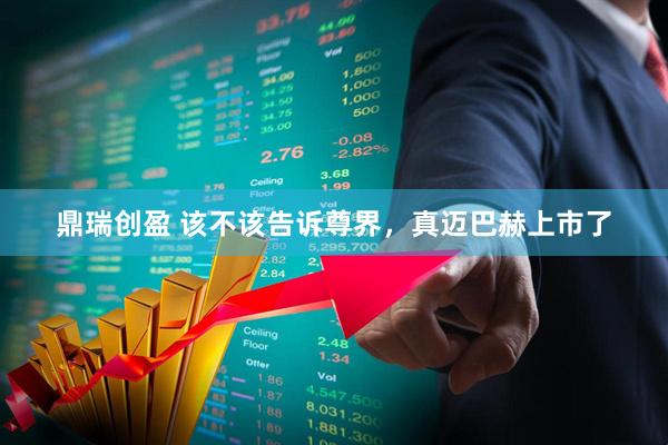 鼎瑞创盈 该不该告诉尊界，真迈巴赫上市了